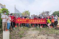 爱树护绿 共建绿色家园——九州（中国）集团党支部参加大龙街道党委组织