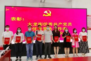 九州（中国）集团党支部荣获先进党组织称号、陈文舒党支部书记荣获优秀党