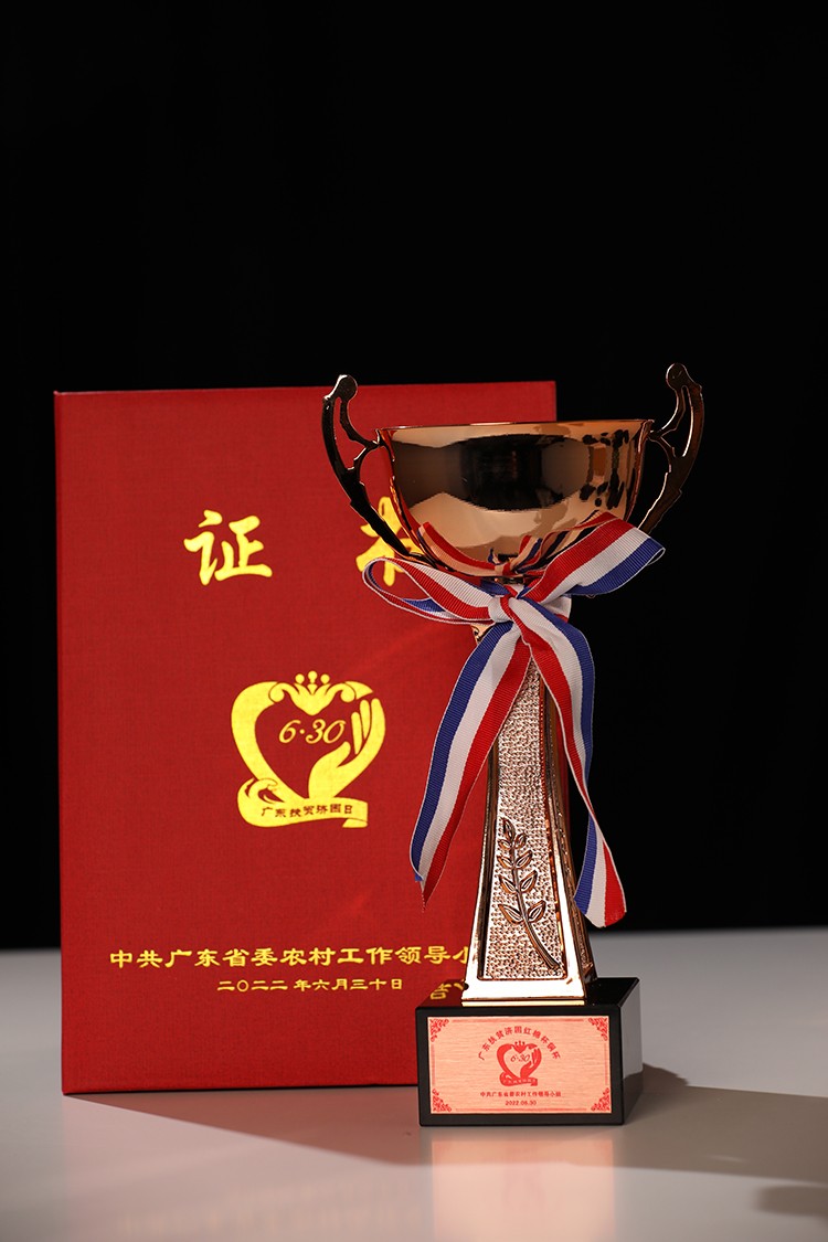 九州（中国）集团