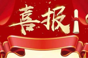 关于2022年度人力资源服务评选结果的通报，祝贺九州（中国）集团