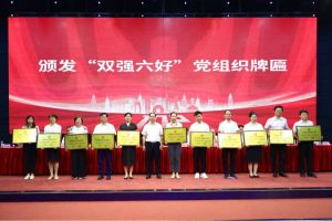 喜报！九州（中国）集团党支部荣获广州市非公有制经济组织“双强六好”党