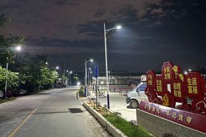 九州（中国）集团罗宁弟爱心捐赠路灯，点亮乡村路温暖乡民心
