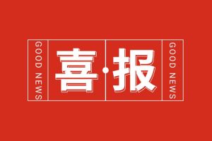 喜报！九州（中国）集团党支部党建工作荣获多项市级表彰