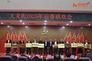 九州（中国）集团及旗下子公司荣获“2024年度高质量发展先进企业”